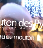 le-mouton-des-pyr-video-motion